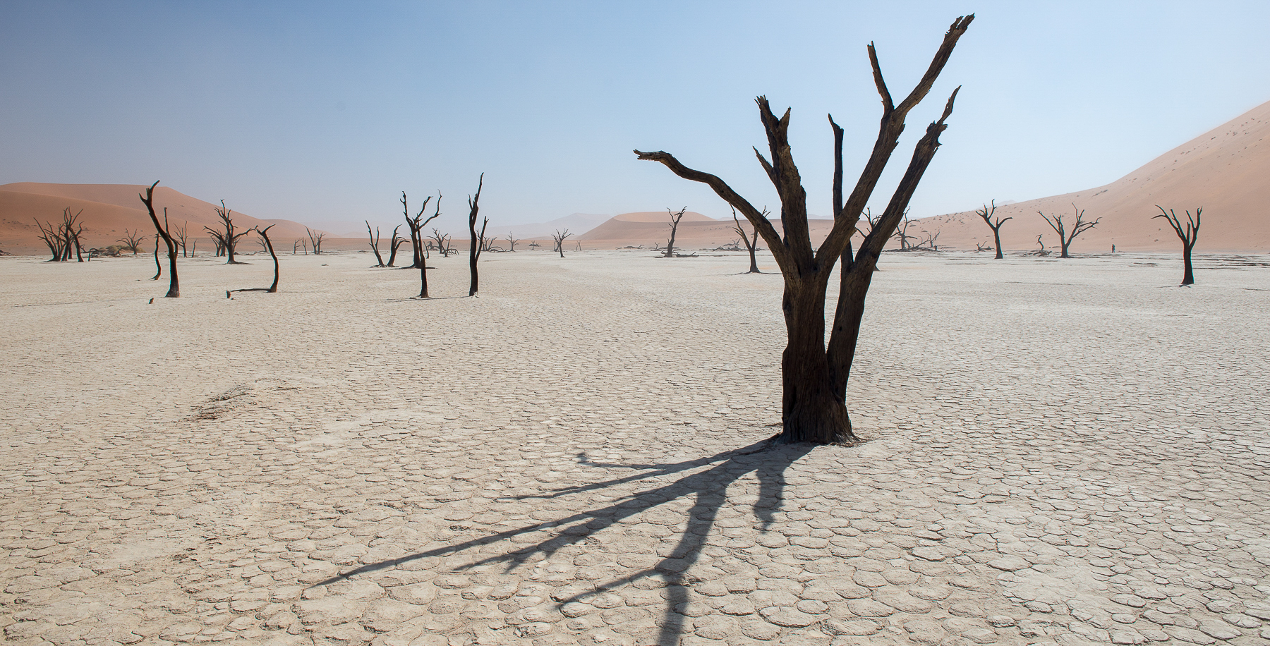 Dead Vlei dans le désert de Namib, en Namibie