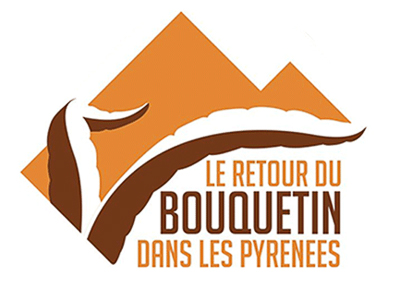 Projet le retour du bouquetin dans les Pyrénées
